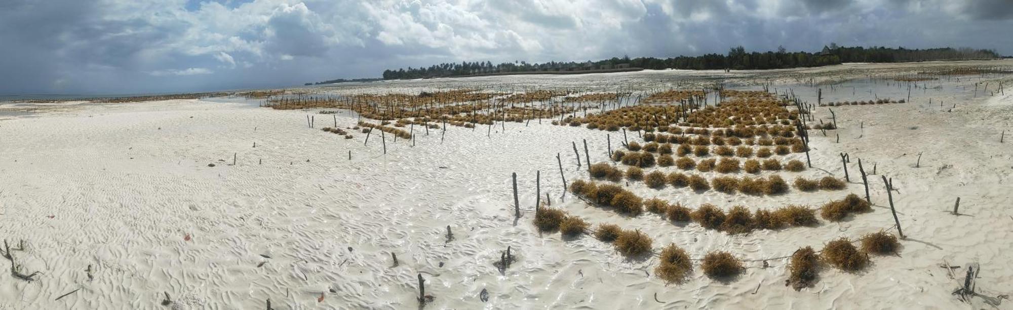 Eden Paradise Michamvi Εξωτερικό φωτογραφία